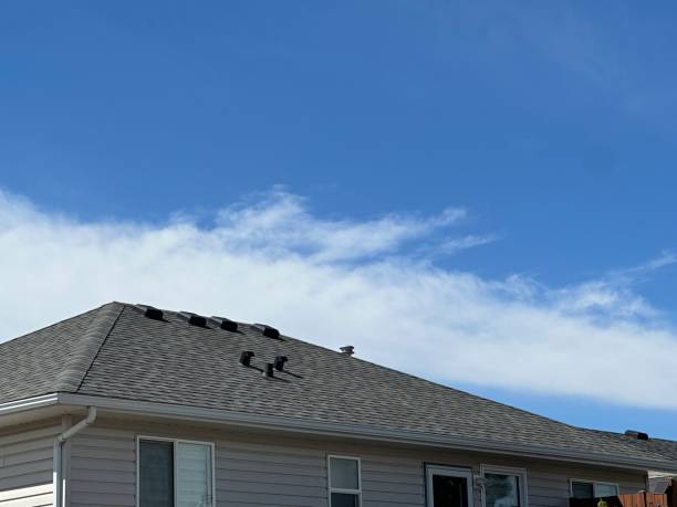 Best Storm Damage Roof Repair  in Media, PA